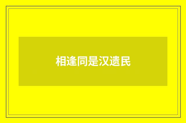 相逢同是汉遗民