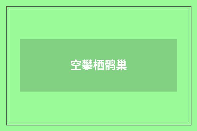 空攀栖鹘巢