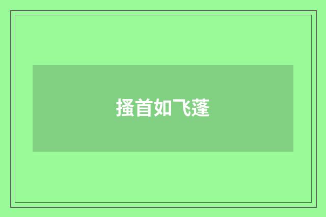 搔首如飞蓬