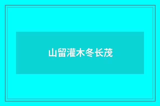 山留灌木冬长茂