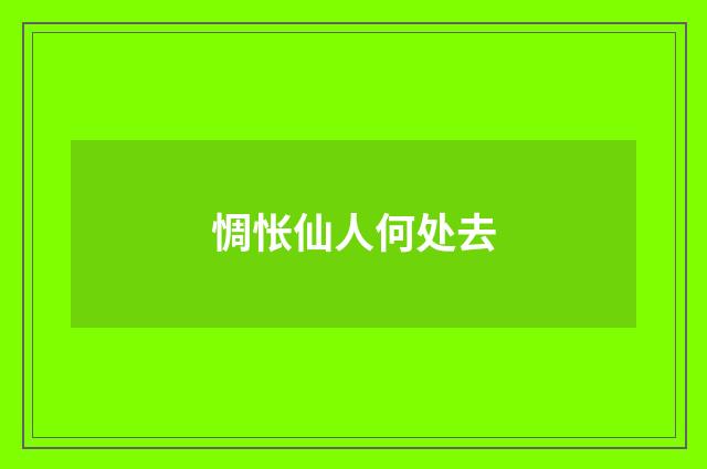 惆怅仙人何处去