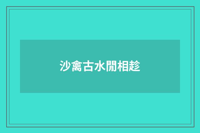 沙禽古水閒相趁