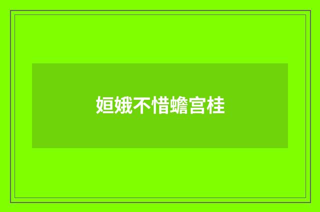 姮娥不惜蟾宫桂