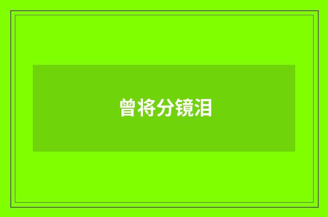 曾将分镜泪