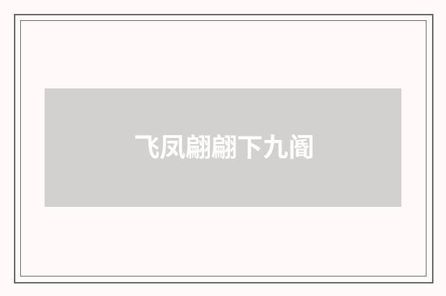 飞凤翩翩下九阍