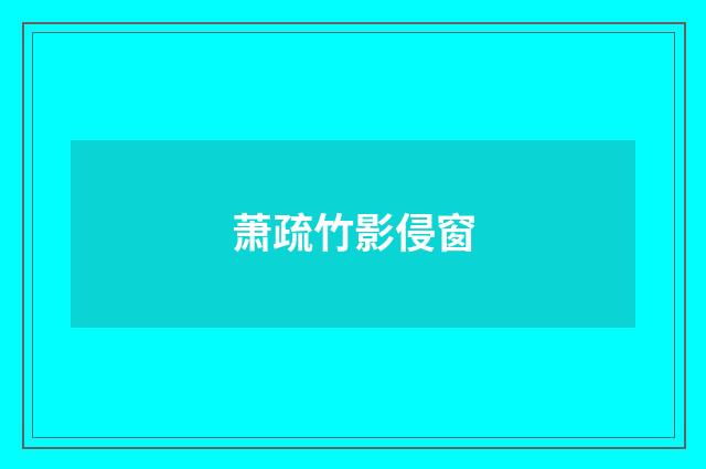 萧疏竹影侵窗