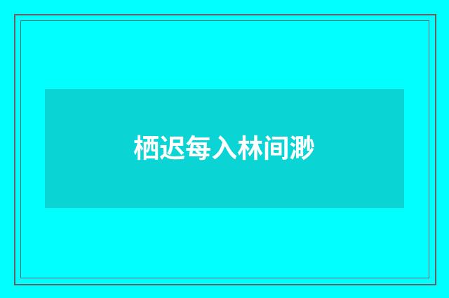 栖迟每入林间渺