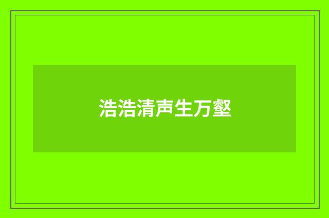 浩浩清声生万壑