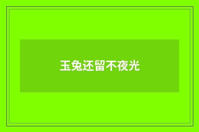 玉兔还留不夜光