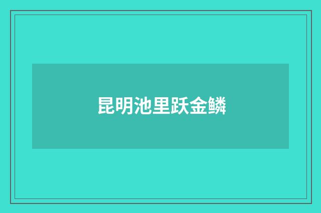 昆明池里跃金鳞