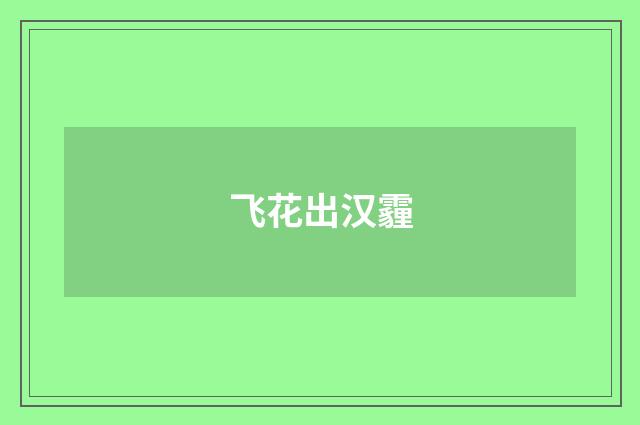 飞花出汉霾