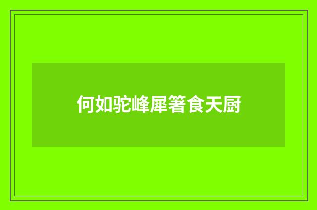 何如驼峰犀箸食天厨