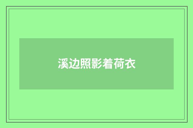 溪边照影着荷衣