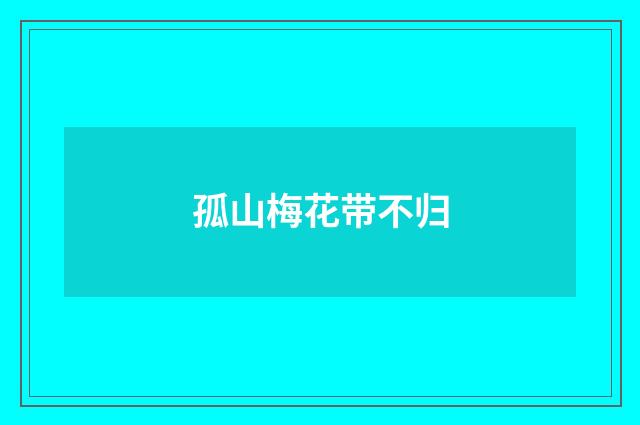 孤山梅花带不归
