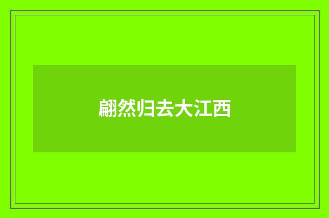 翩然归去大江西