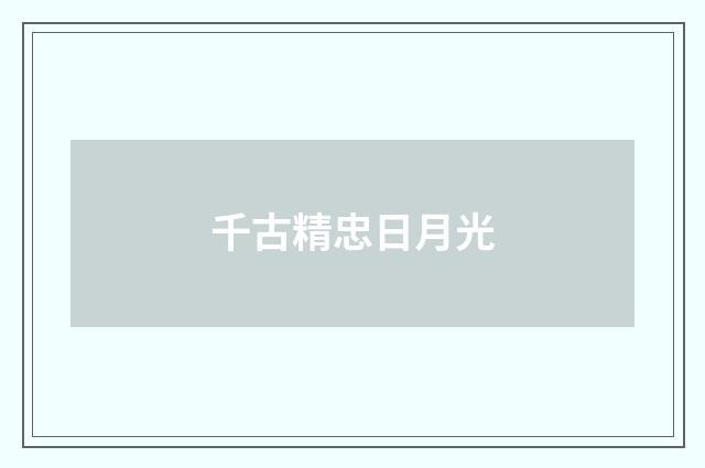 千古精忠日月光
