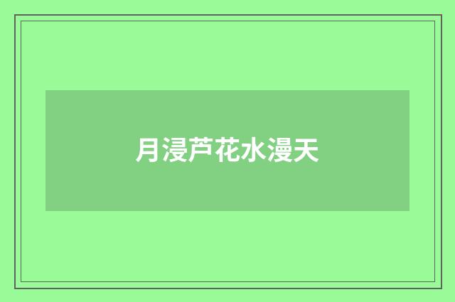 月浸芦花水漫天