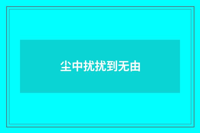 尘中扰扰到无由