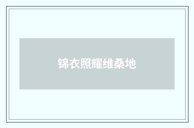 锦衣照耀维桑地