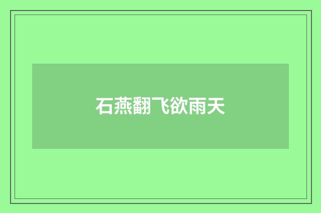 石燕翻飞欲雨天