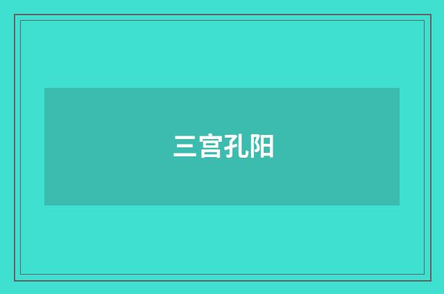 三宫孔阳