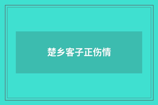 楚乡客子正伤情