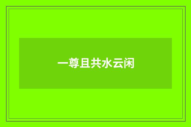 一尊且共水云闲