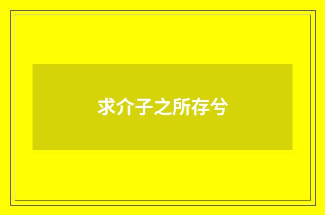 求介子之所存兮