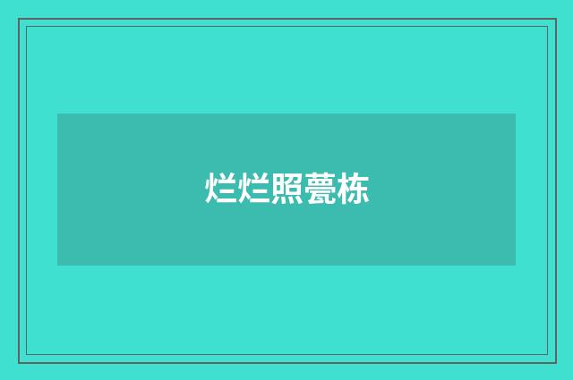 烂烂照甍栋