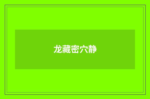 龙藏密穴静
