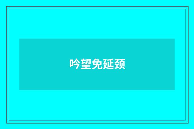 吟望免延颈