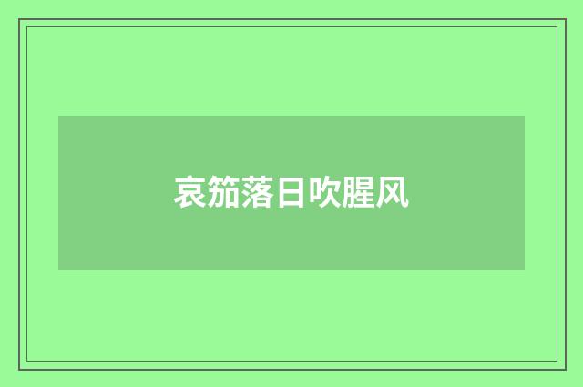 哀笳落日吹腥风