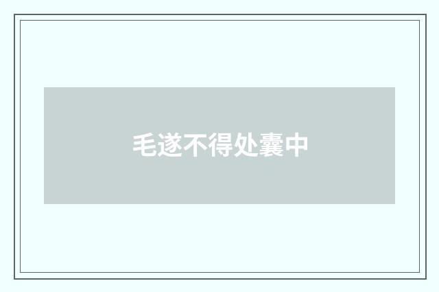 毛遂不得处囊中