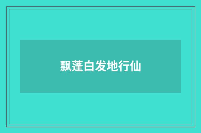 飘蓬白发地行仙