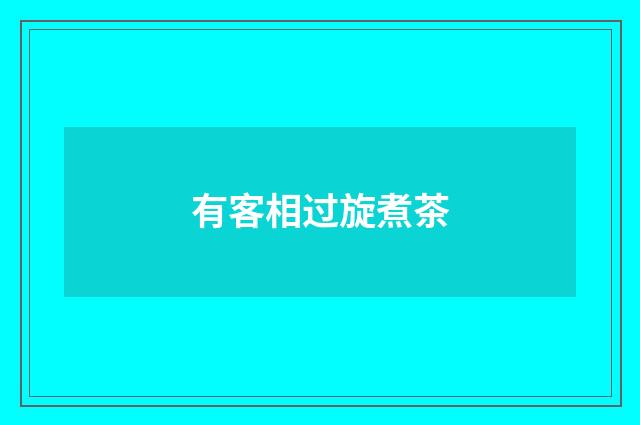 有客相过旋煮茶