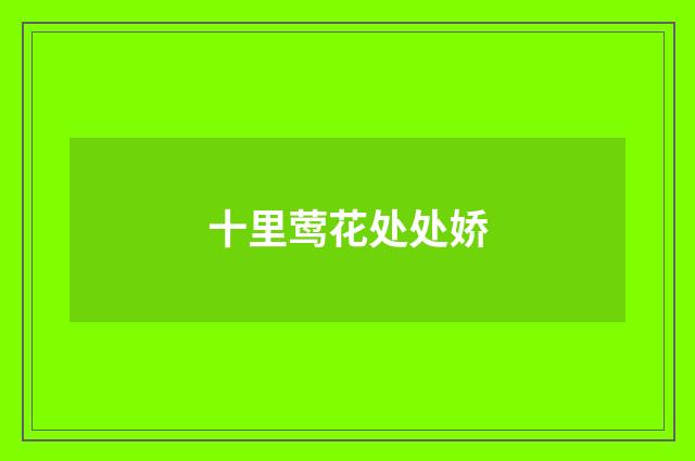 十里莺花处处娇
