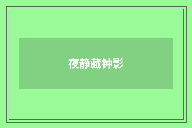 夜静藏钟影