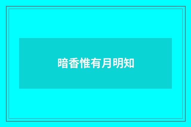 暗香惟有月明知