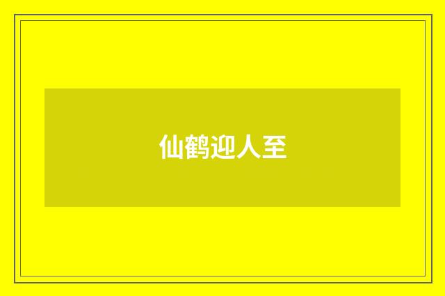 仙鹤迎人至