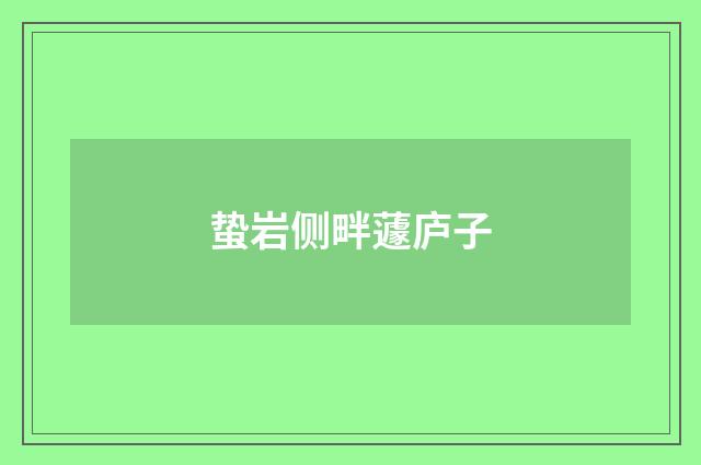 蛰岩侧畔蘧庐子