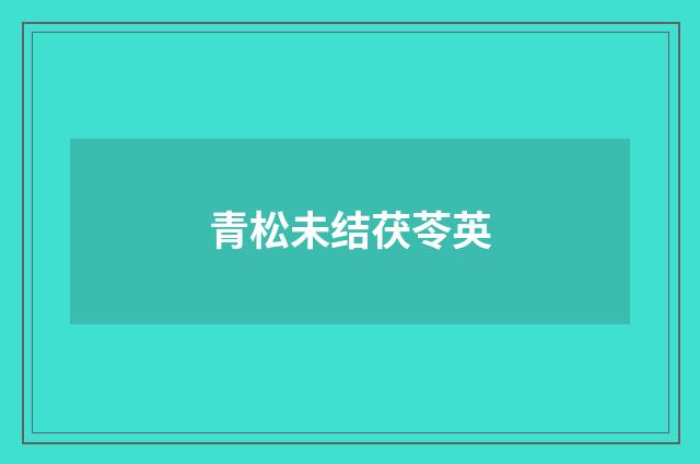 青松未结茯苓英
