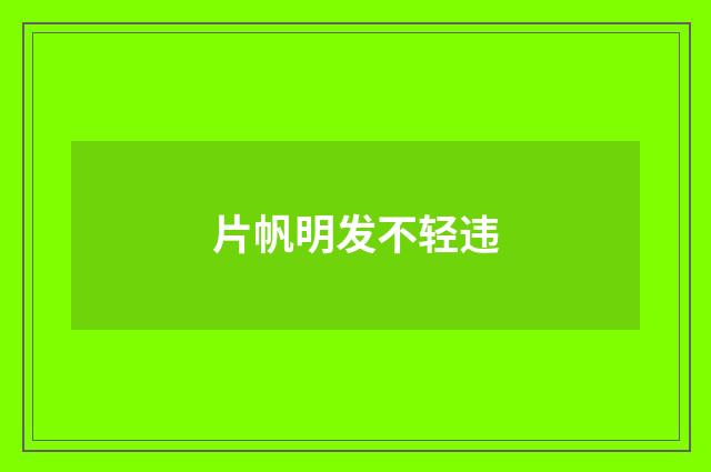 片帆明发不轻违