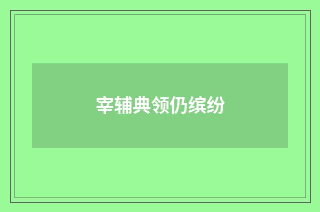 宰辅典领仍缤纷