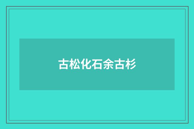 古松化石余古杉