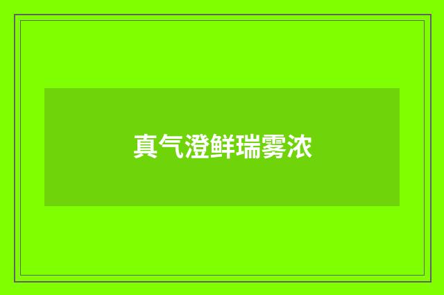 真气澄鲜瑞雾浓