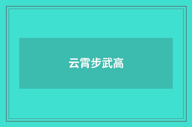 云霄步武高