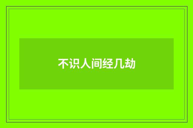 不识人间经几劫