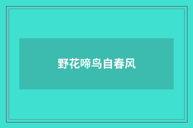 野花啼鸟自春风