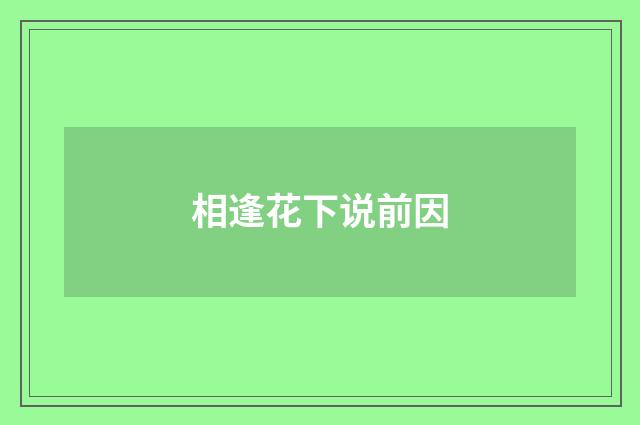 相逢花下说前因
