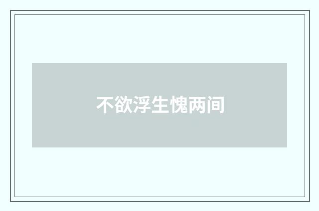 不欲浮生愧两间
